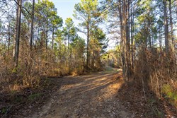 Lightning Ridge Tract 109