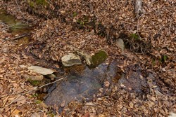 Lightning Ridge Tract 109