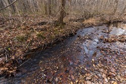 Lightning Ridge Tract 11