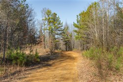 Lightning Ridge Tract 11