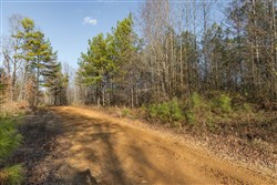 Lightning Ridge Tract 11