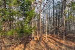 Lightning Ridge Tract 11