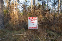 Lightning Ridge Tract 110