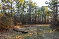 Lightning Ridge Tract 110