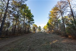 Lightning Ridge Tract 110