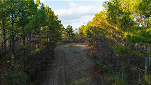 Lightning Ridge Tract 111