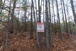 Lightning Ridge Tract 111