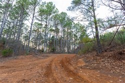 Lightning Ridge Tract 111