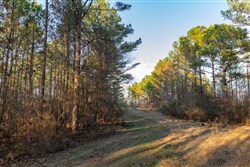 Lightning Ridge Tract 111