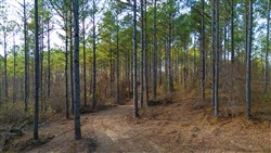 Lightning Ridge Tract 112