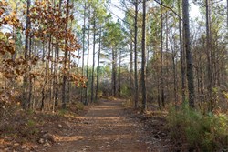 Lightning Ridge Tract 112