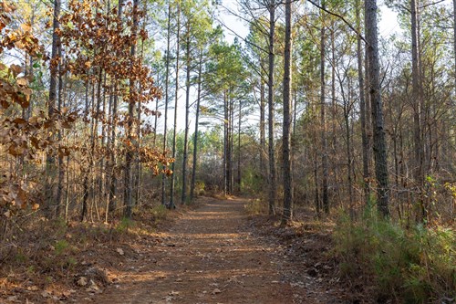 Lightning Ridge Tract 112