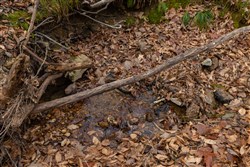 Lightning Ridge Tract 112