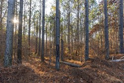 Lightning Ridge Tract 112