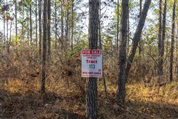 Lightning Ridge Tract 113