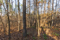 Lightning Ridge Tract 113