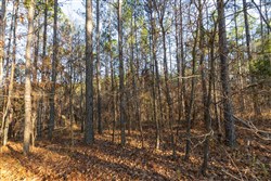 Lightning Ridge Tract 113