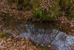 Lightning Ridge Tract 113