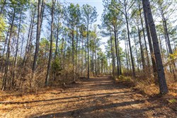 Lightning Ridge Tract 113