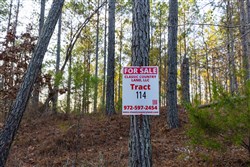 Lightning Ridge Tract 114