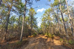 Lightning Ridge Tract 114