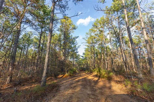 Lightning Ridge Tract 114