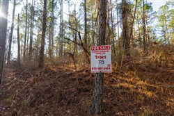 Lightning Ridge Tract 115