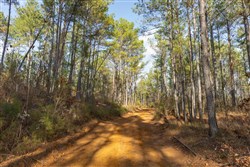 Lightning Ridge Tract 115