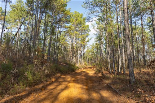 Lightning Ridge Tract 115