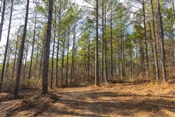 Lightning Ridge Tract 115