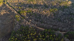 Lightning Ridge Tract 116