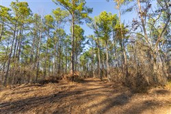 Lightning Ridge Tract 116