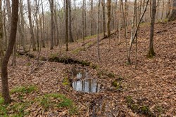 Lightning Ridge Tract 116