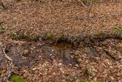 Lightning Ridge Tract 116