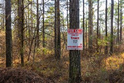 Lightning Ridge Tract 117