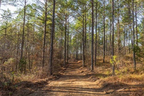 Lightning Ridge Tract 117