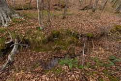 Lightning Ridge Tract 117