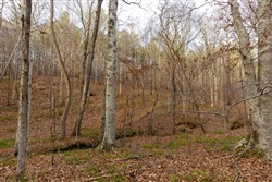 Lightning Ridge Tract 117