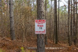 Lightning Ridge Tract 118