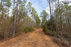 Lightning Ridge Tract 118