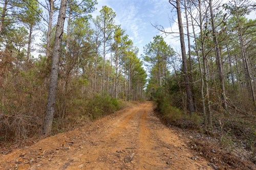 Lightning Ridge Tract 118