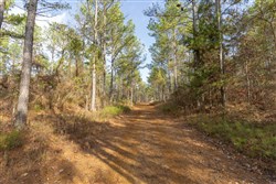 Lightning Ridge Tract 118