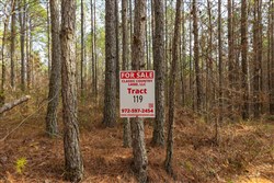 Lightning Ridge Tract 119