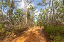 Lightning Ridge Tract 119