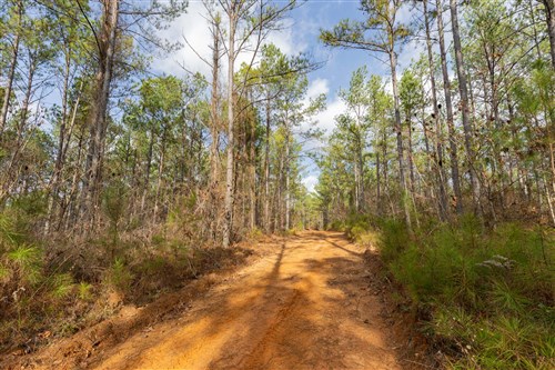 Lightning Ridge Tract 119