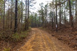 Lightning Ridge Tract 119