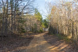 Lightning Ridge Tract 12