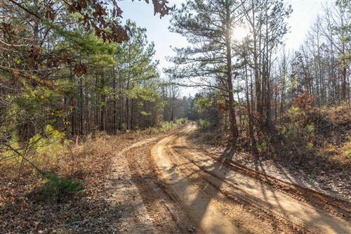 Lightning Ridge Tract 12