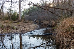 Lightning Ridge Tract 12