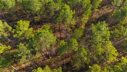 Lightning Ridge Tract 120